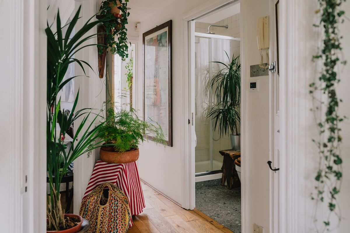 Plants, Art, and a Huge Bay Window in a London Apartment 11 hallway with plants