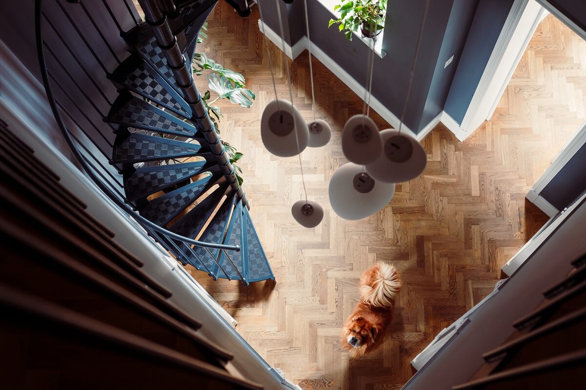 A London Duplex Apartment with a Purple Kitchen 7 spiral staircase and herringbone floor