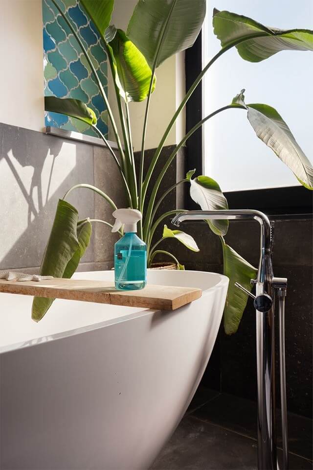 Rich Colors in a Charming Late 19th-Century Home in The Netherlands 21 bath tub plants detail