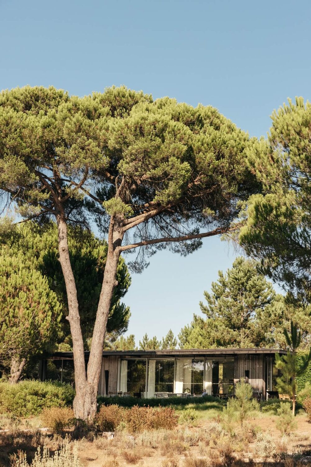 An Eco-Retreat Made from Upcycled Materials in Portugal 8 glass house portugal An Eco-Retreat Made from Upcycled Materials in Portugal