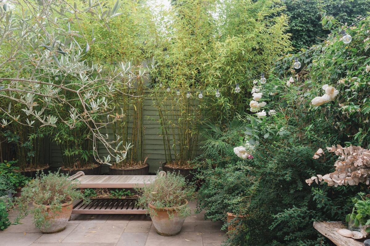 A Soft and Natural Color Palette in a Victorian Home 23 green city garden