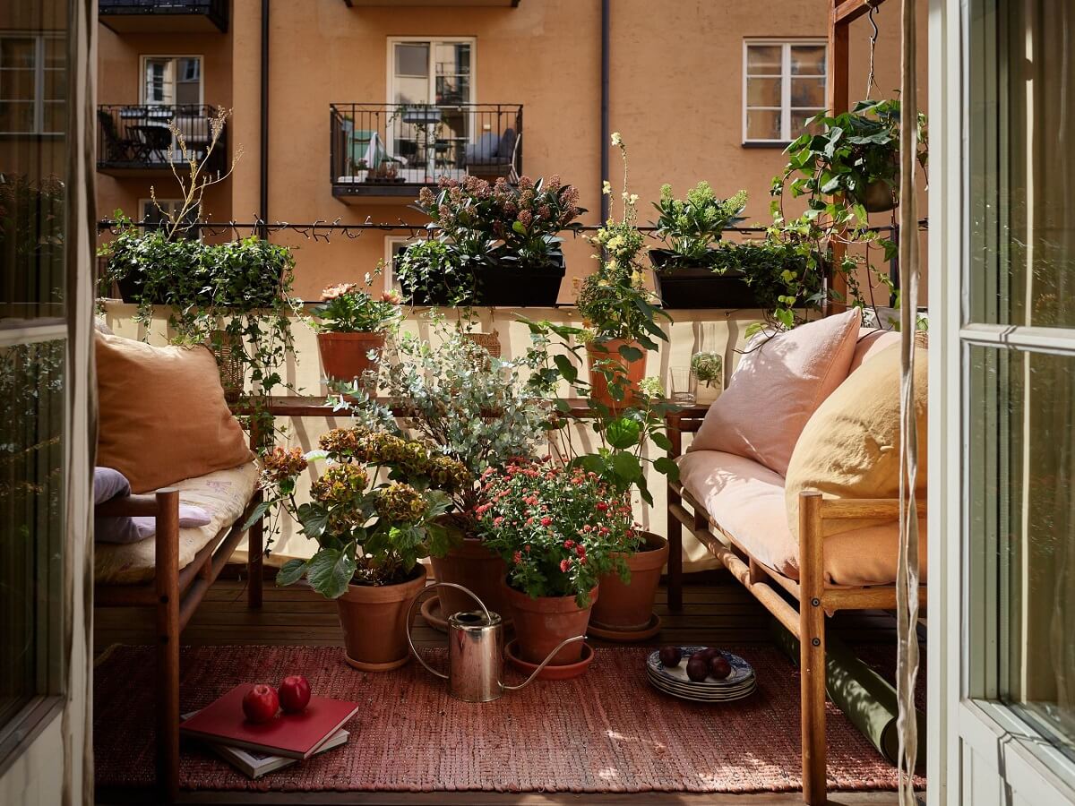 A Studio Apartment with Plaster Walls and a Walnut Kitchen 5 plant filled balcony