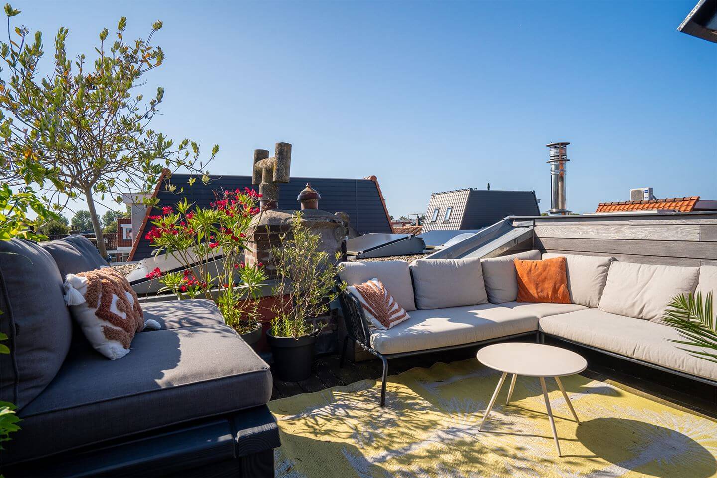 Rich Colors in a Charming Late 19th-Century Home in The Netherlands 25 roof terrace Rich Colors in a Charming Late 19th-Century Home in The Netherlands