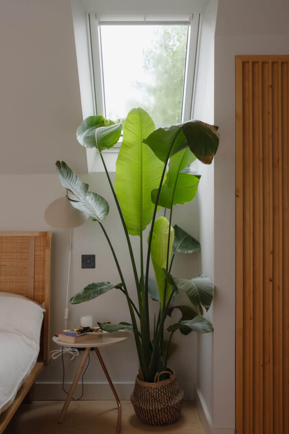 Nature-Inspired Colors in an Extended East London Home 20 bedroom detail