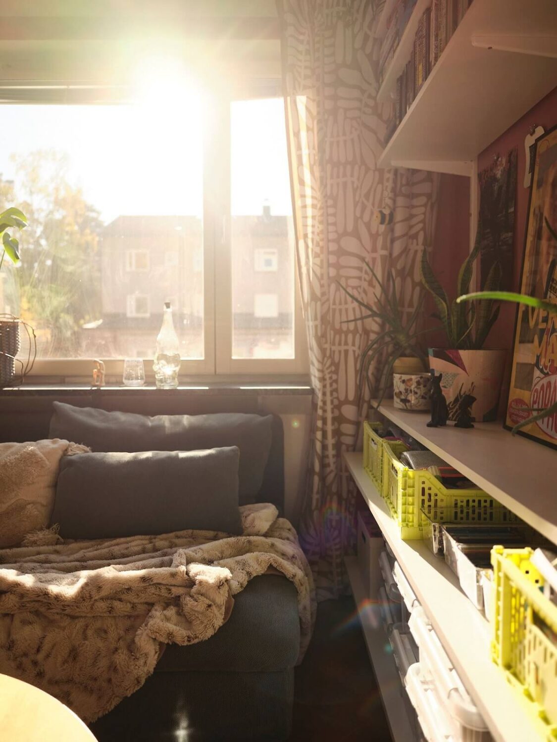 A Bold Pink Studio Apartment with a Light Yellow Kitchen 4 pink studio shelves
