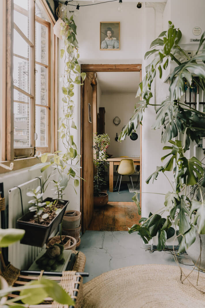 Period Details in a Cozy London Apartment in a Victorian Tenement Building 10 plant filled apartment and raw wooden woodwork