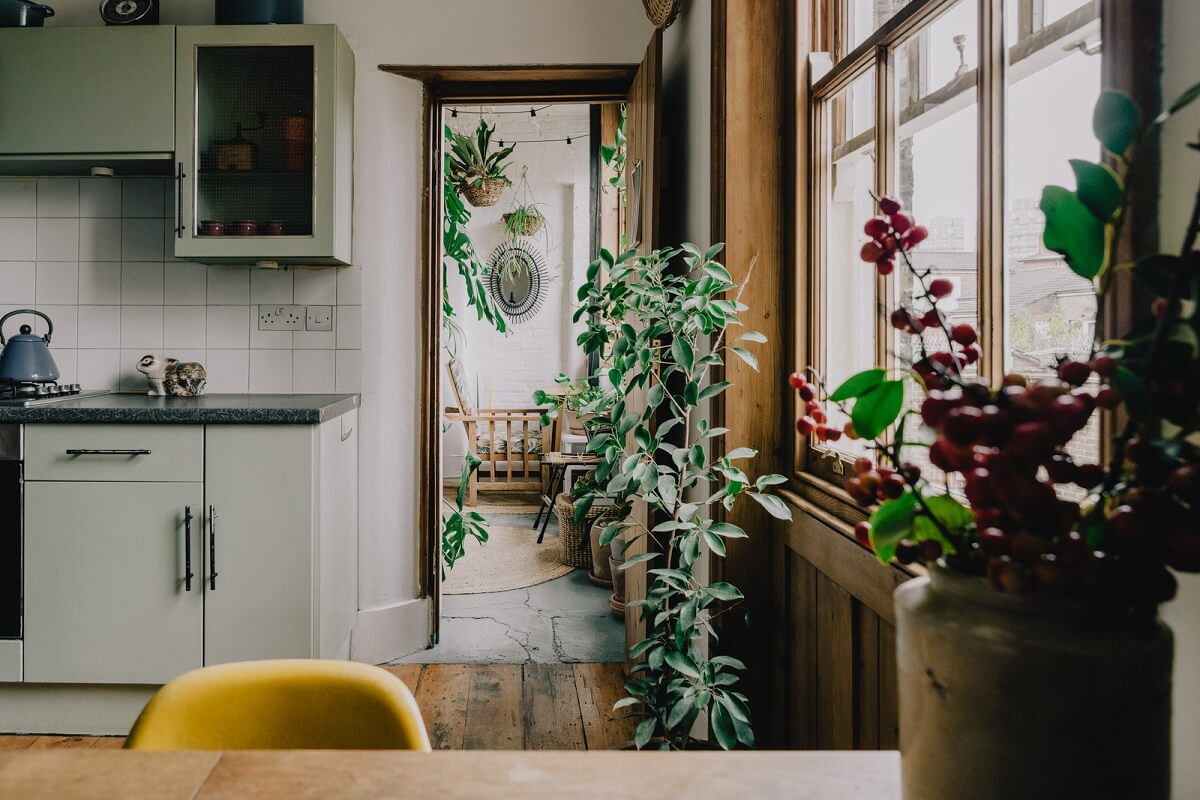 Period Details in a Cozy London Apartment in a Victorian Tenement Building 9 plant filled london apartment