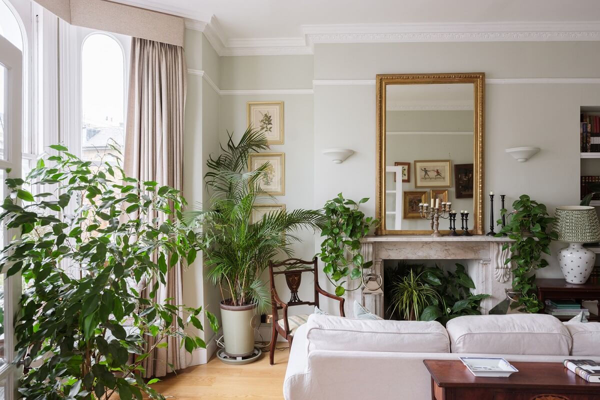 A Beautiful One-Bedroom Apartment with Plants and Period Features 2 plants filled living room bay window fireplace