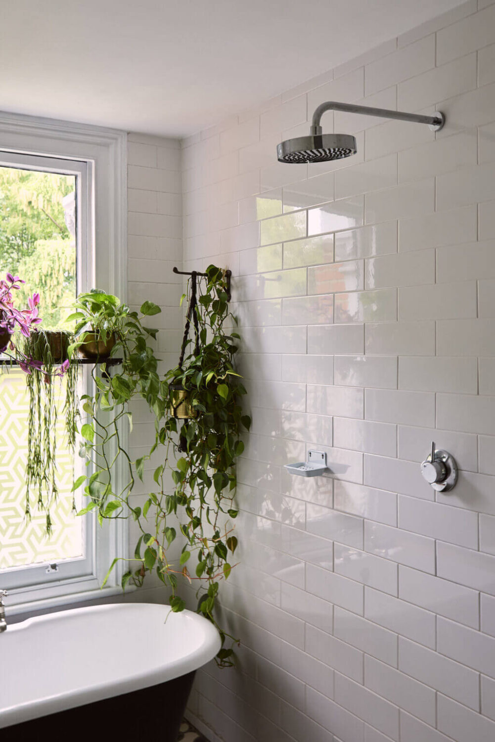 A Grand Victorian House with Many Period Features and a Lush Garden 22 bathroom with plants
