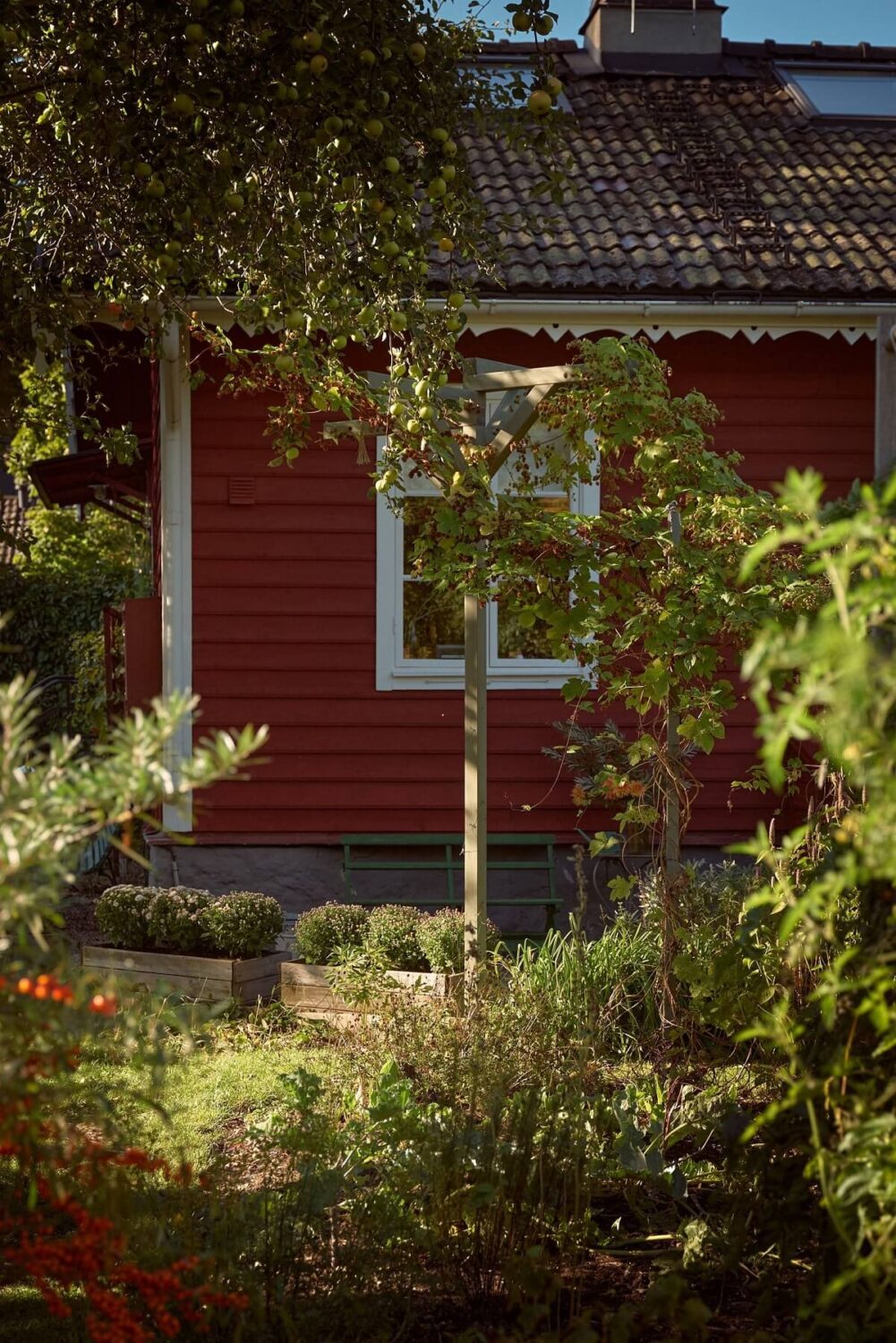 A Charming Swedish Cottage Filled with Art and Color 22 garden red swedish cottage