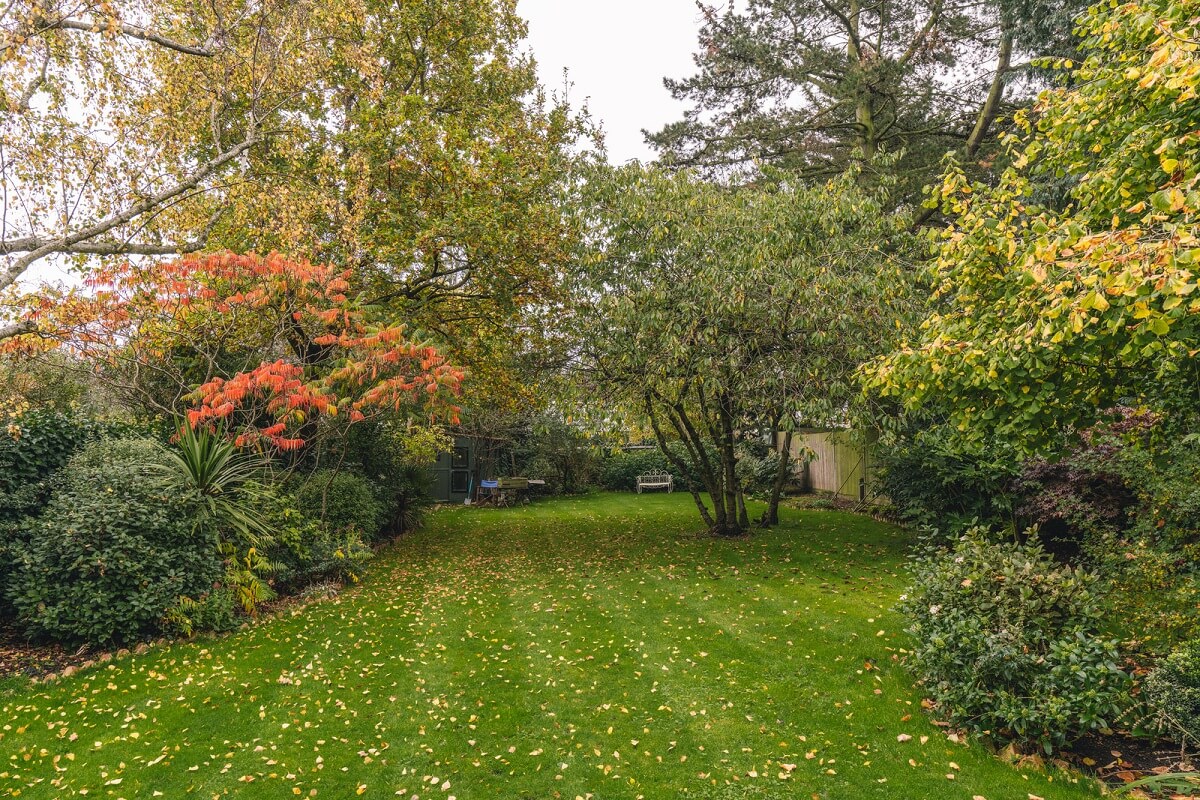 A Grand Ground Floor Apartment with Dark Blue Walls and a Garden 22 garden with lawn and mature trees