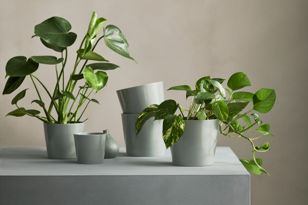 IKEA Spring Collection 2025: Colorful Textiles, Clean Designs & Home Refresh Ideas 17 plant pots