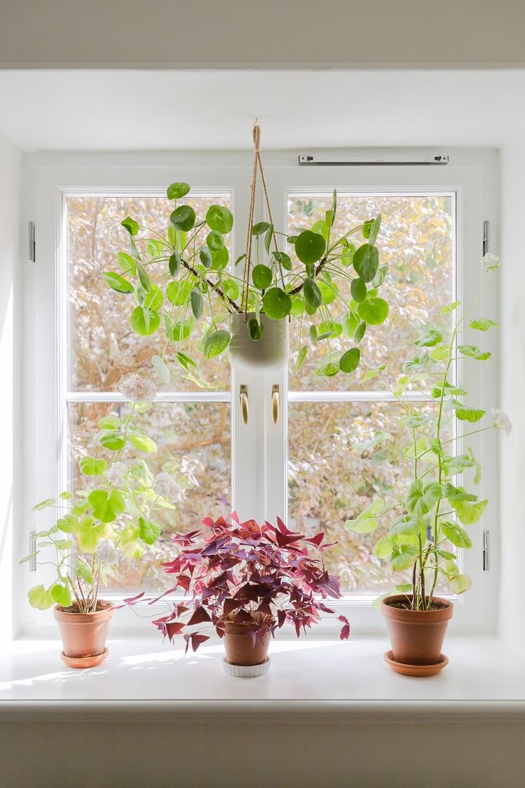 A Small and Bright Two-Bedroom Apartment in Stockholm 4 window with plants