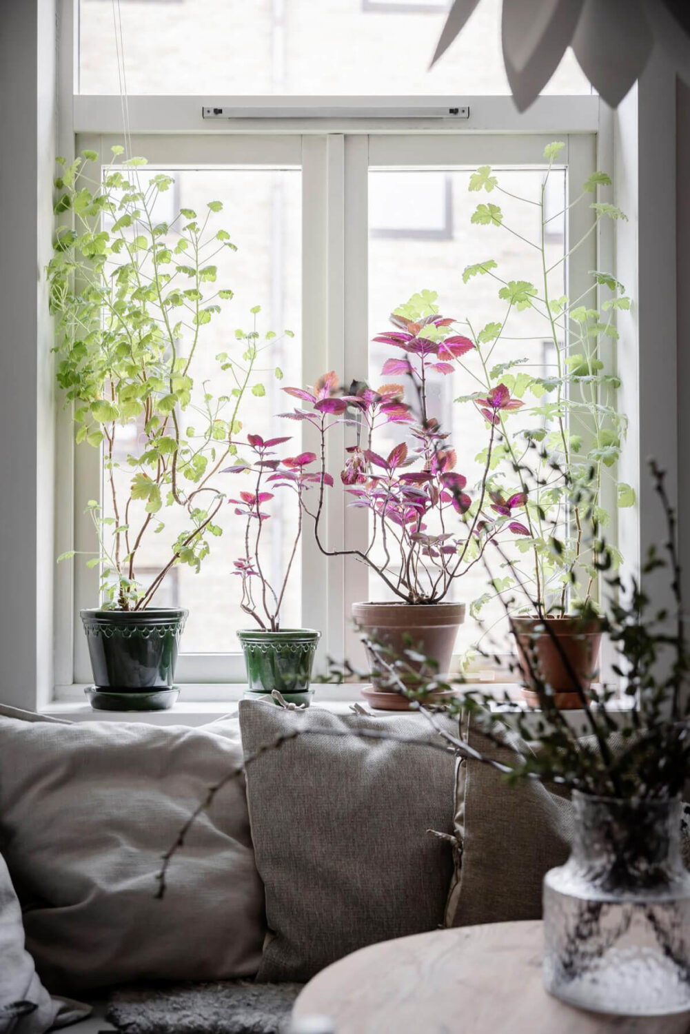 White-Painted Floorboards in a Turn-of-the-Century Apartment 16 breakfast nook plants