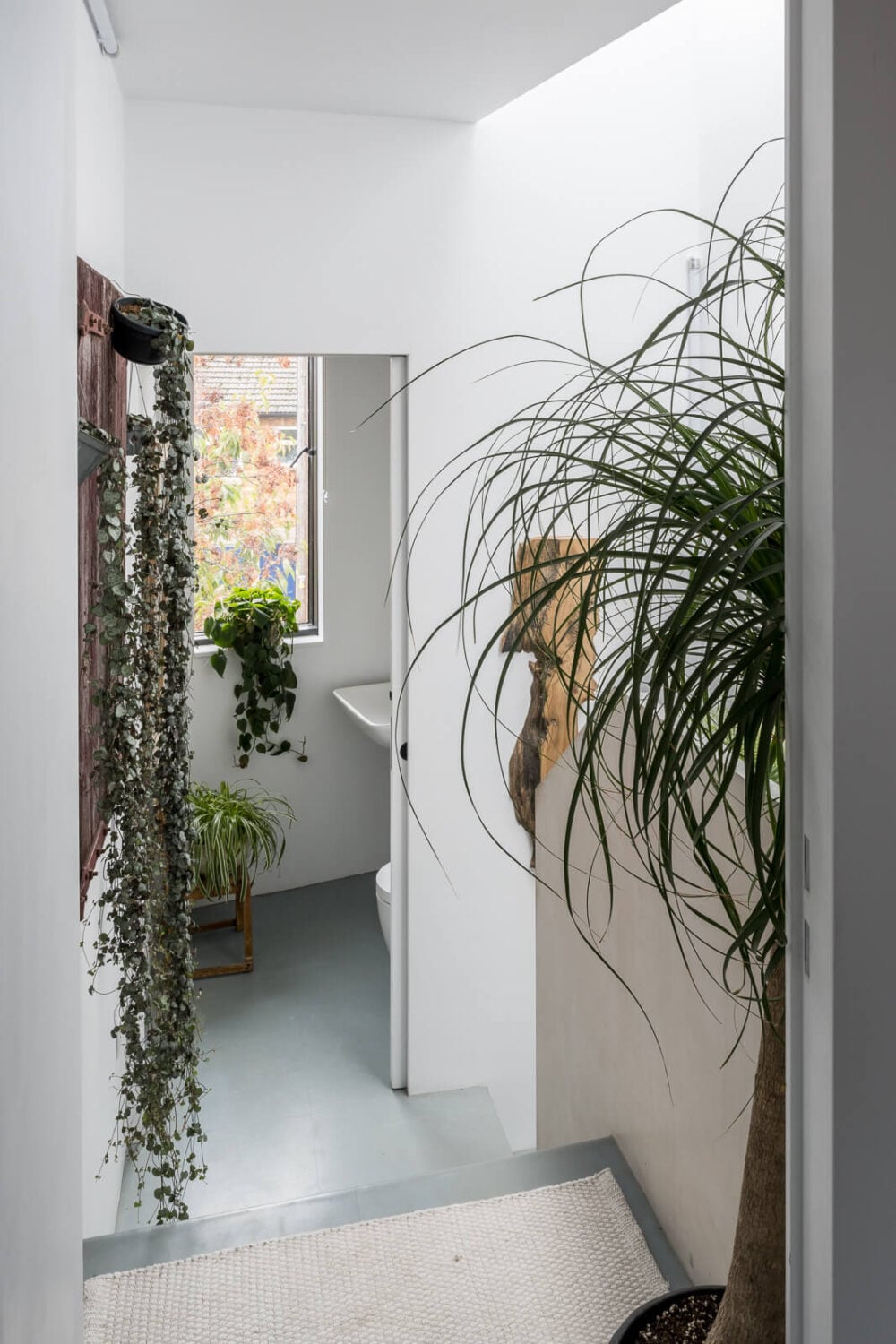 A Unique House in London with Plant-Filled Interiors and a Lush Garden 19 first floor landing plants