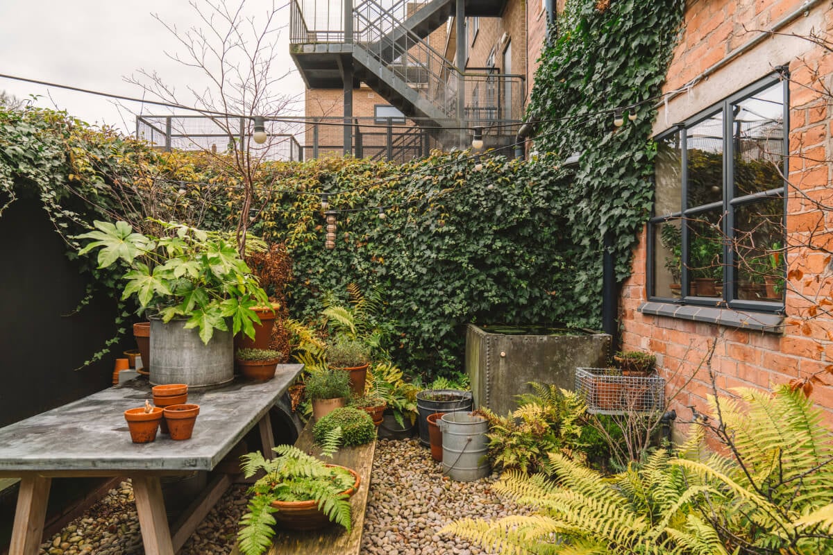 A Renovated Georgian Townhouse with a Stunning Kitchen Extension 42 green city garden