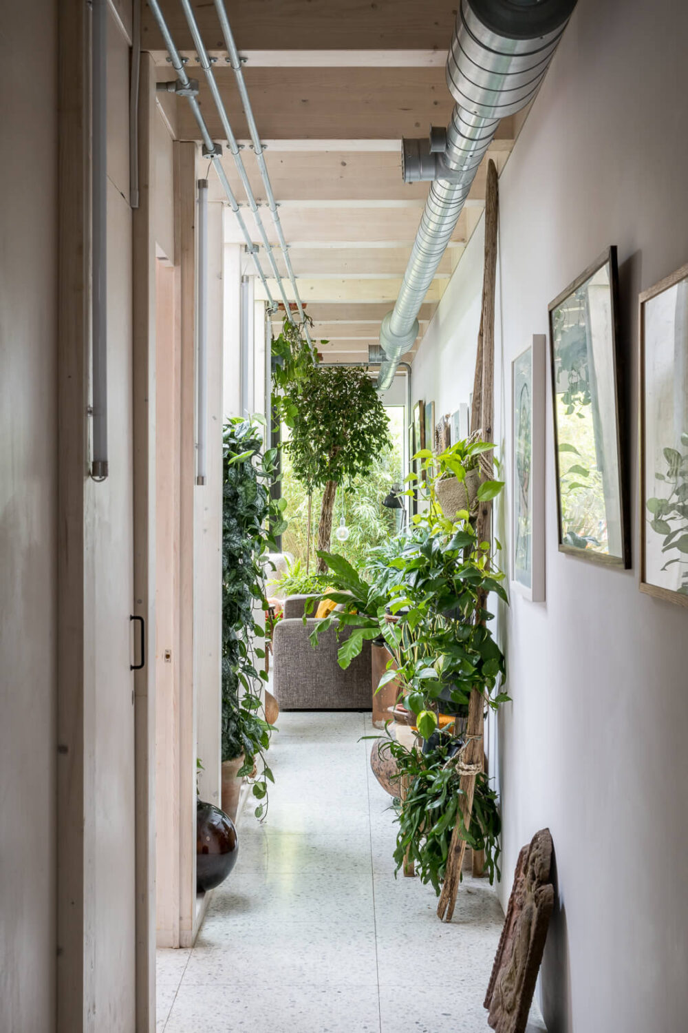 A Unique House in London with Plant-Filled Interiors and a Lush Garden 10 hall view into plant-filled living room