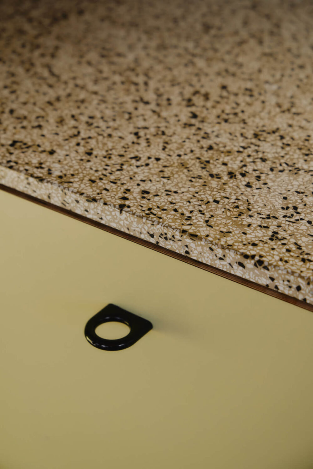 An Elegant Apartment with Plaster Walls and a Winter Garden 9 kitchen detail countertop