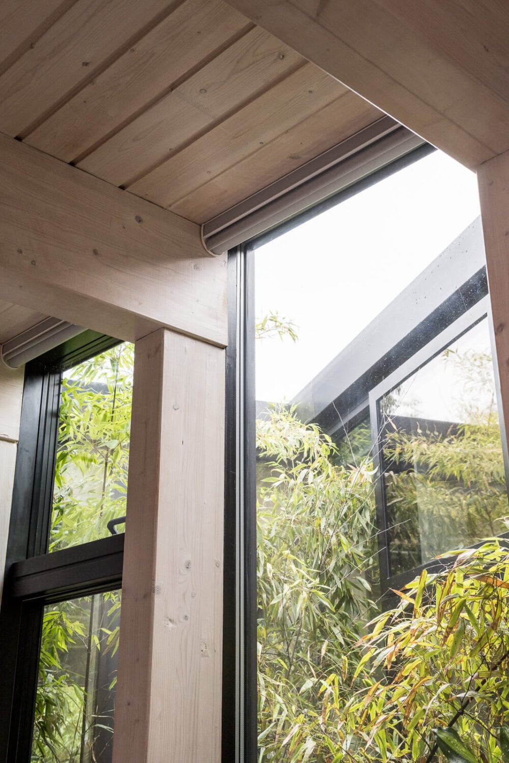 A Unique House in London with Plant-Filled Interiors and a Lush Garden 14 large window detail