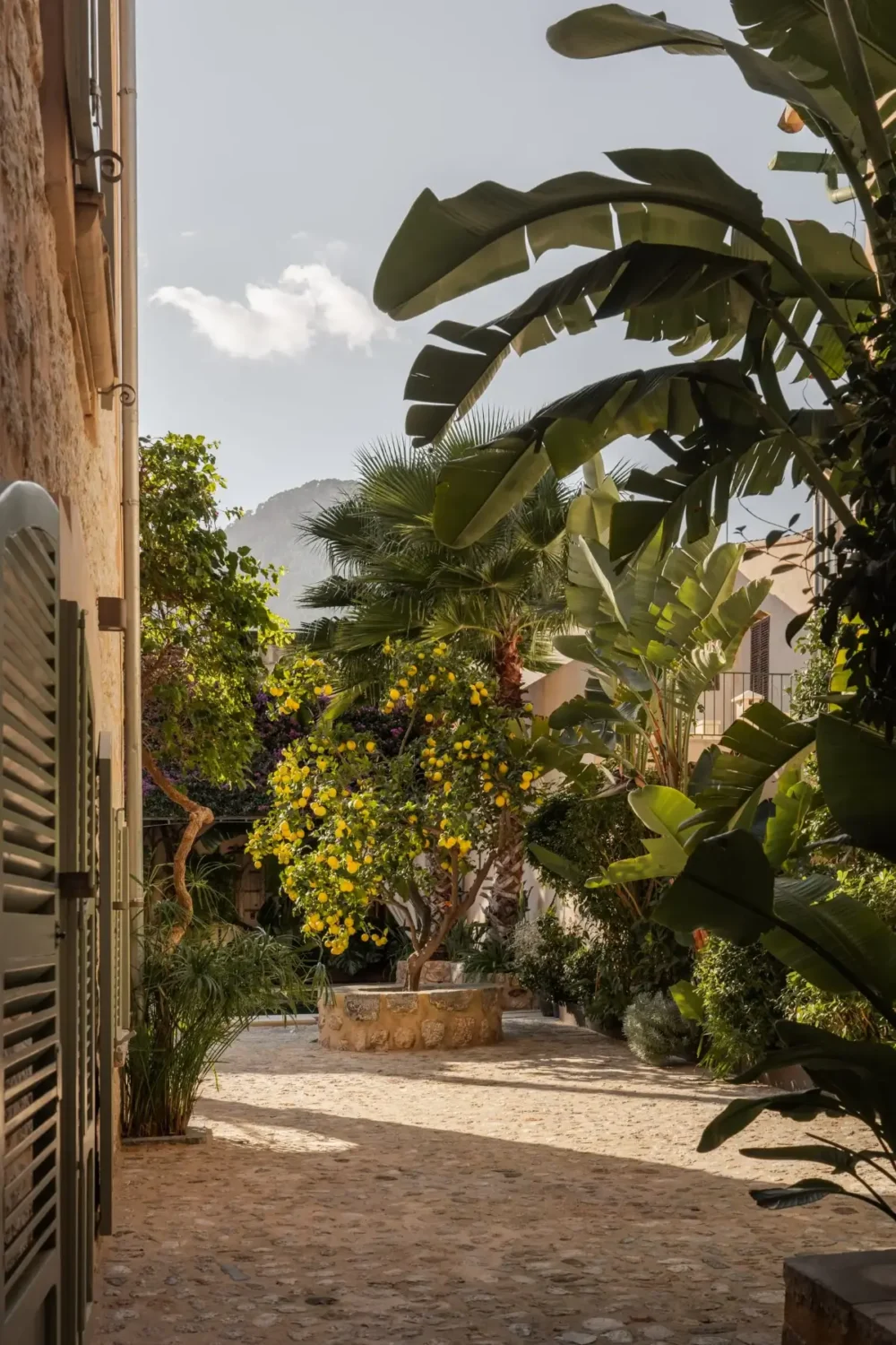 Old-World Craftsmanship and Contemporary Elegance in a Mallorcan Townhouse 16 lemon tree townhouse mallorca