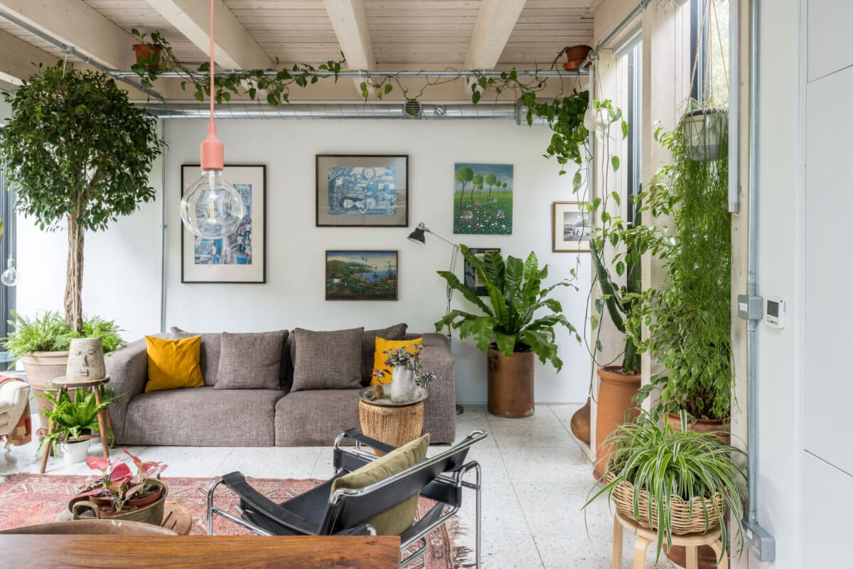 A Unique House in London with Plant-Filled Interiors and a Lush Garden 3 living room with exposed wooden ceiling and plants