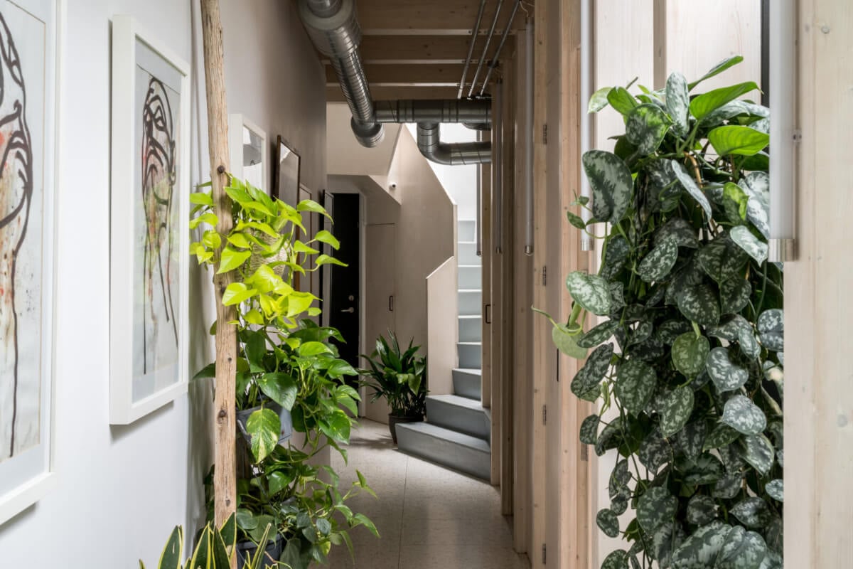 A Unique House in London with Plant-Filled Interiors and a Lush Garden 16 plant-filled hall and staircase