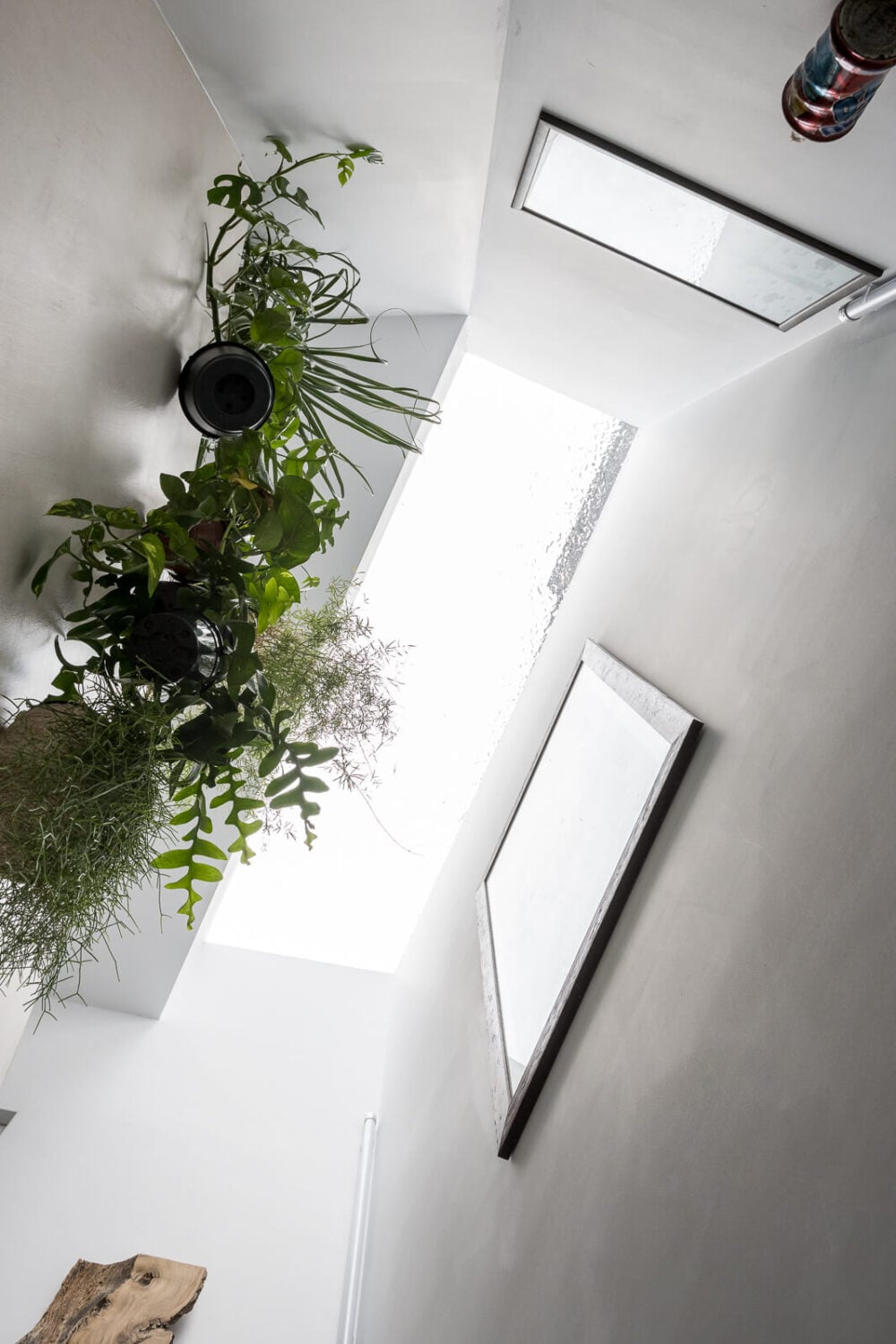 A Unique House in London with Plant-Filled Interiors and a Lush Garden 18 roof light