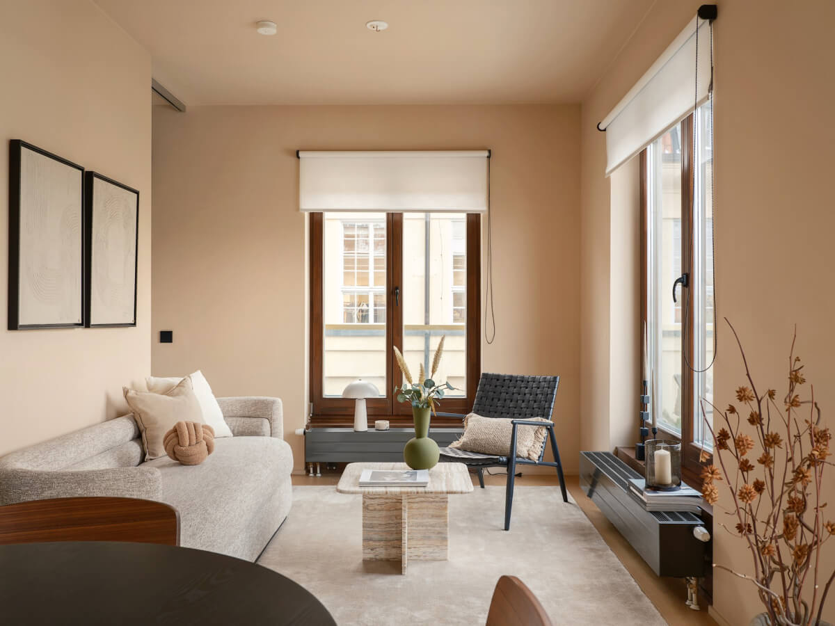 small scandinavian living room
