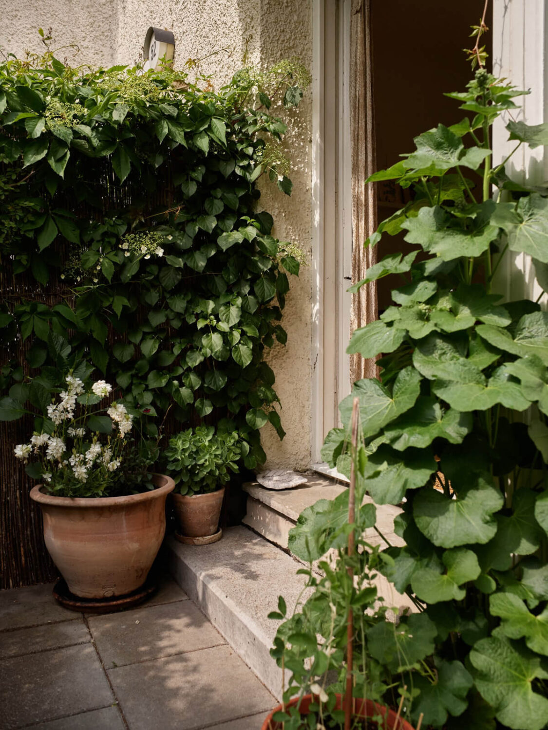 A Small Vintage Apartment with a Tiny Green Patio Garden 11 tiny green outdoor space