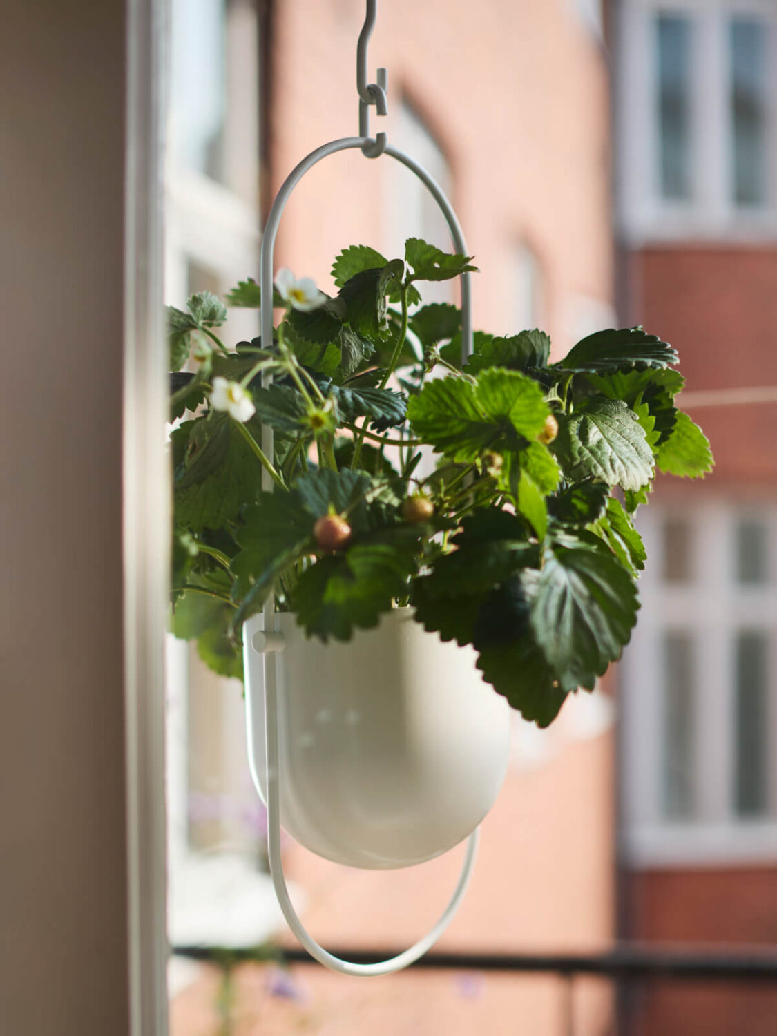 New IKEA Balcony and Garden Inspiration for Summer 2025 40 IKEA CHILISTRAN ampel PH202061 New IKEA Balcony and Garden Inspiration for Summer 2025