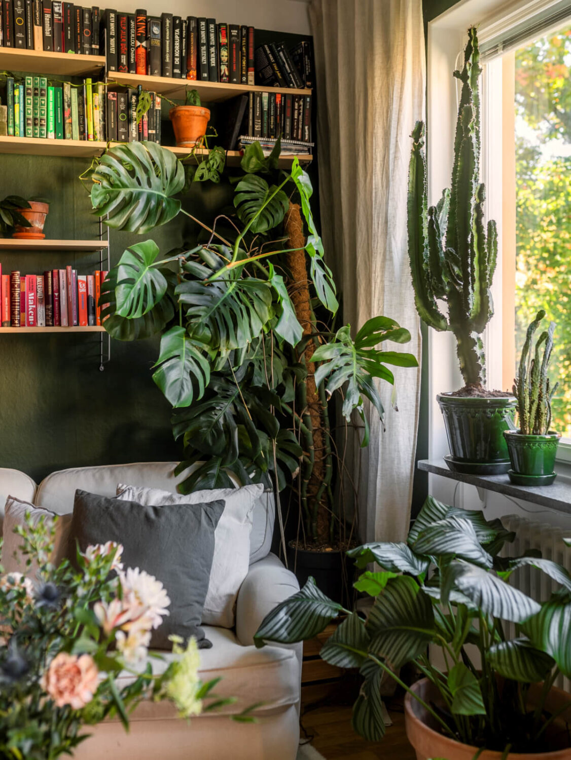 Cozy Plant-Filled Interiors in a 1940s Apartment 2 green walls plant-filled living room with bookshelves