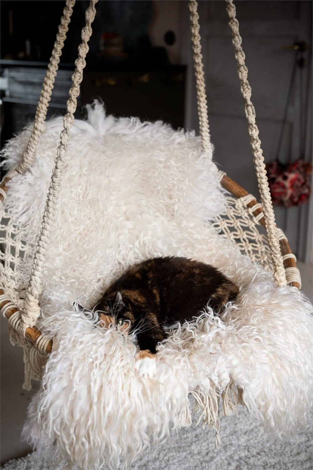 A Colorful Family Attic Apartment in Stockholm 14 hanging chair with cat