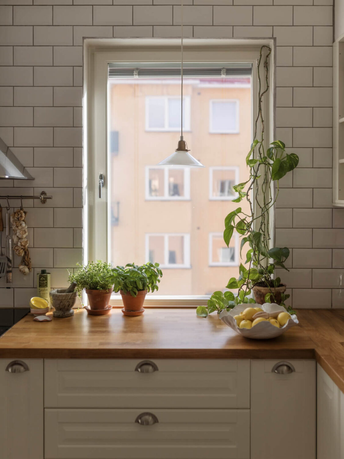 Cozy Plant-Filled Interiors in a 1940s Apartment 10 kitchen window