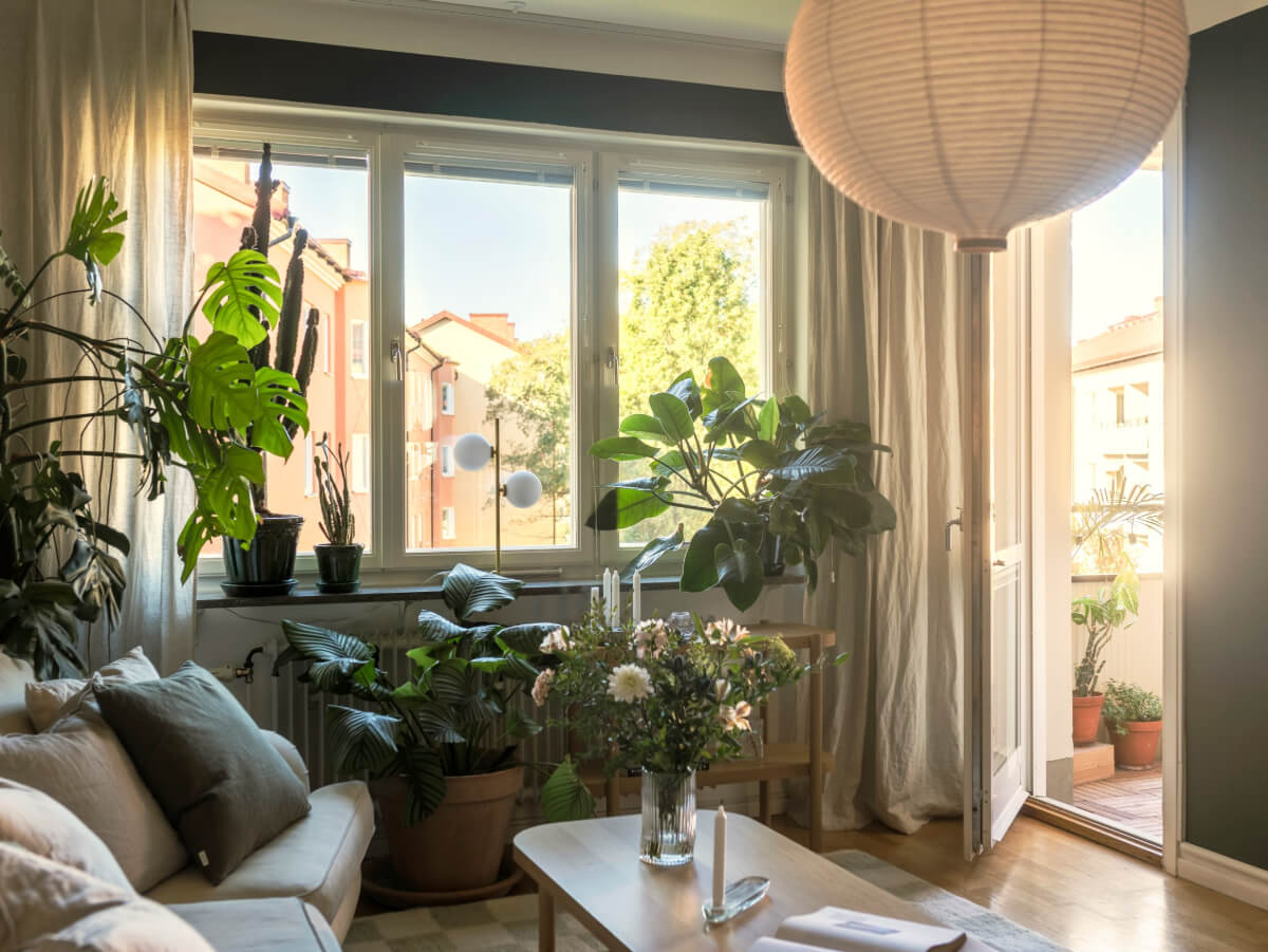 Cozy Plant-Filled Interiors in a 1940s Apartment 4 plant-filled living room