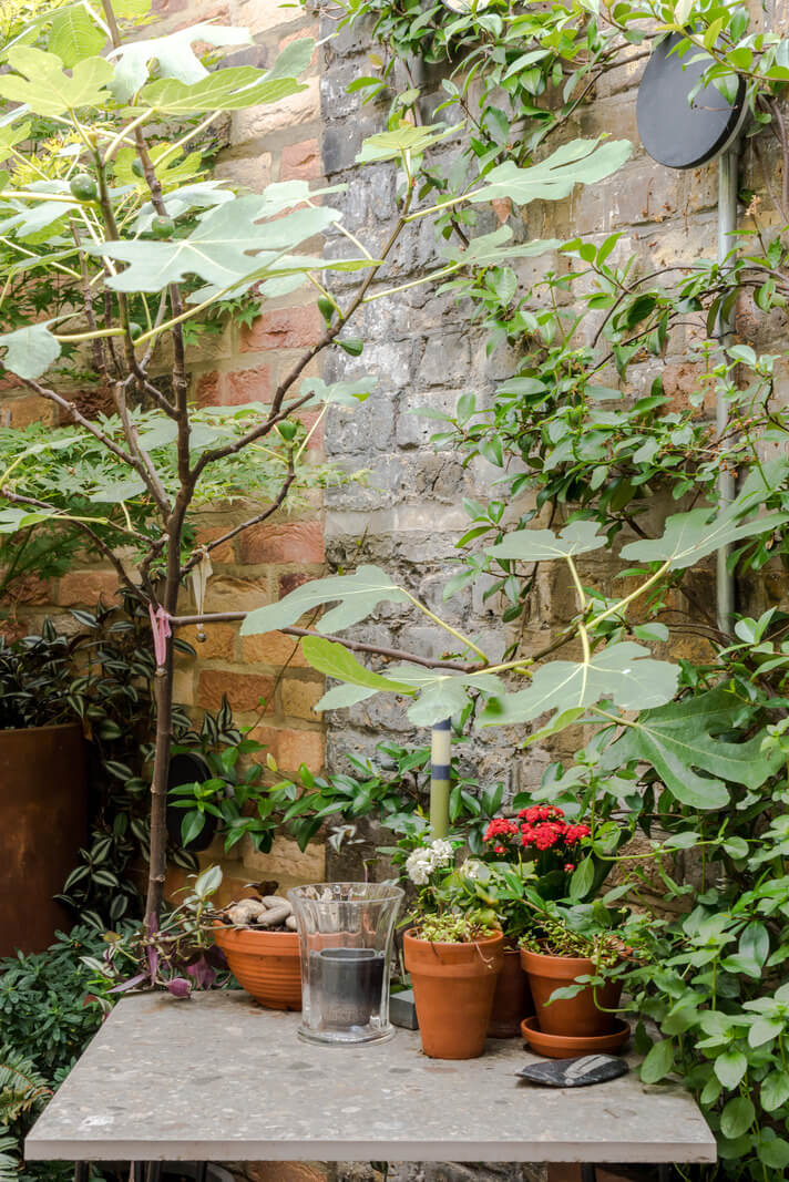 A Narrow Five-Story House with a Roof Garden in London's Clerkenwell 23 roof terrace detail