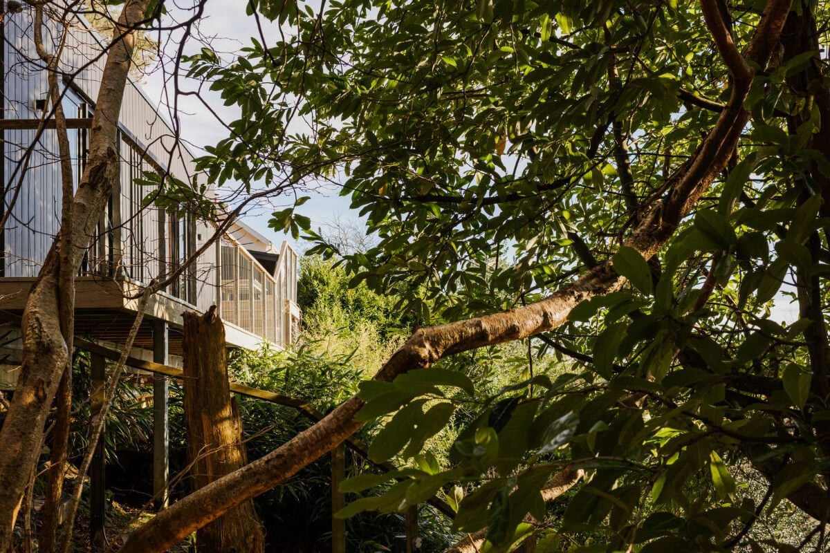 A Japanese-Inspired Timber Home with Views of a Lush Valley 23 treetop house