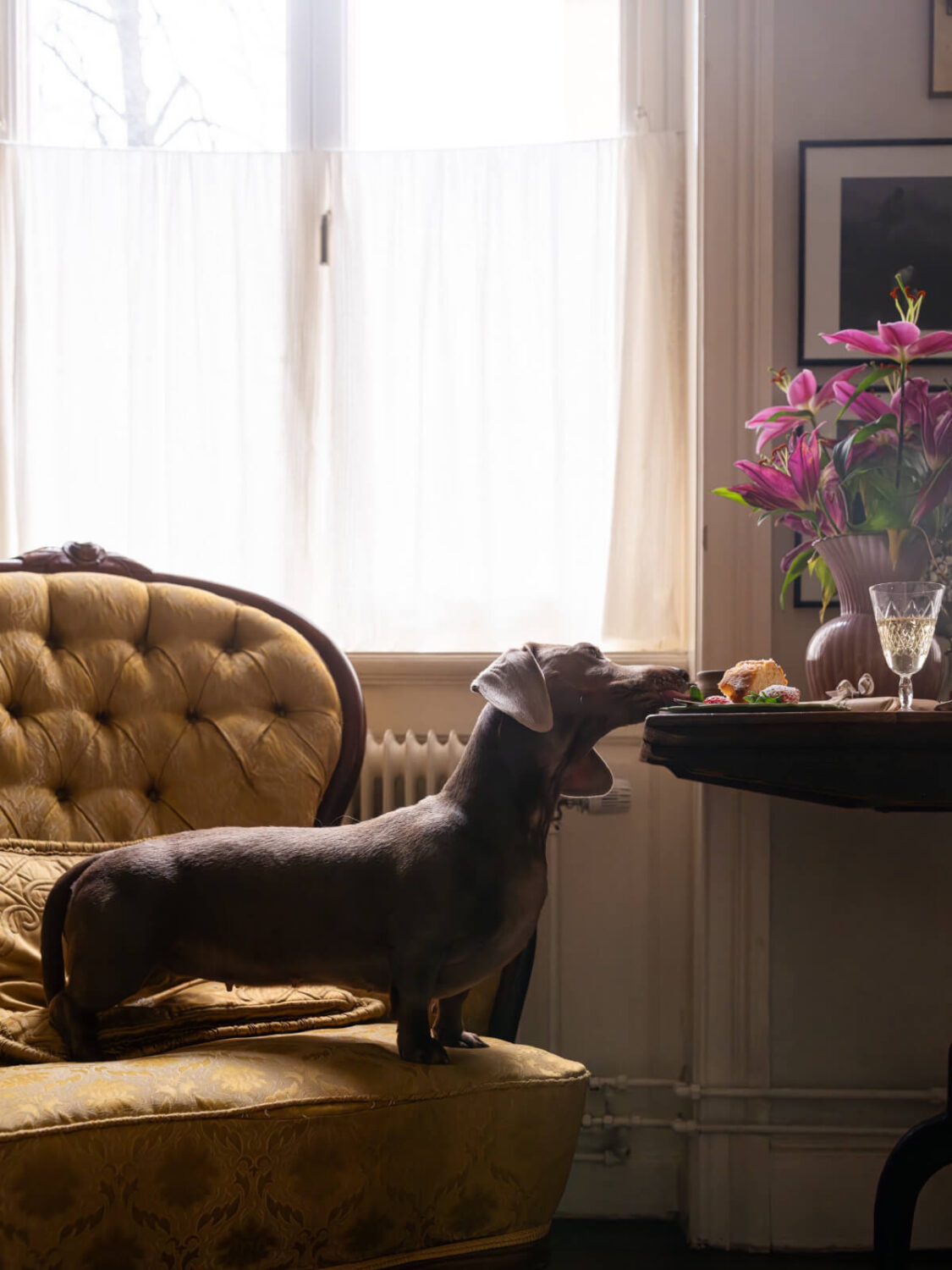 Time Has Stood Still in This Stockholm Studio Apartment 7 dog