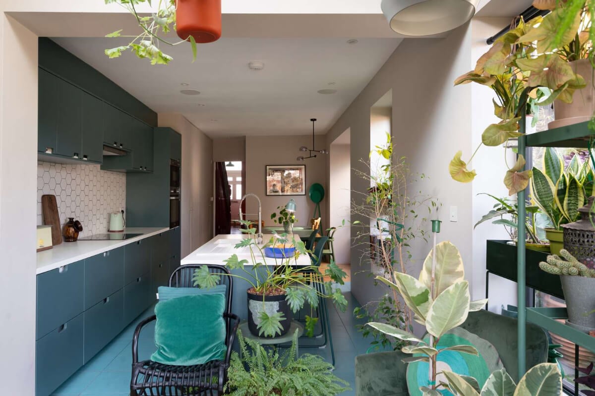 A Colorful Home with a Gold Extension in North London 3 extended kitchen space with plants and dining table