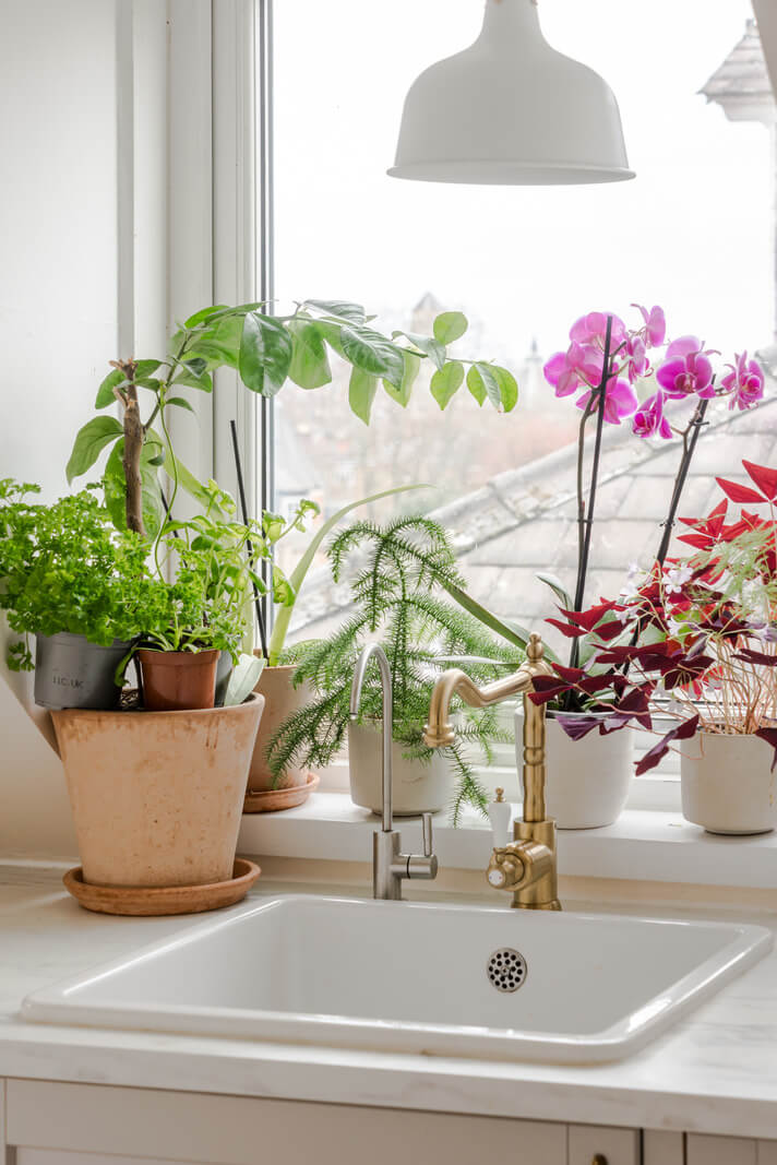 A Light-Filled London Attic Apartment with Cozy Nooks 15 kitchen sink plants