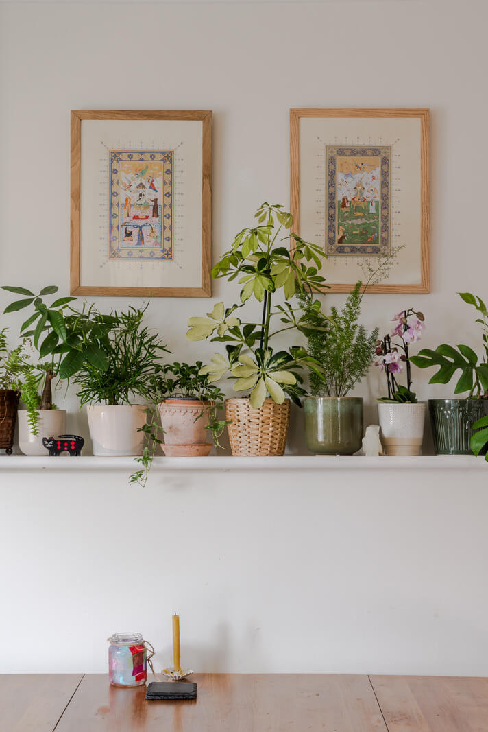 A Light-Filled London Attic Apartment with Cozy Nooks 5 shelves with plants