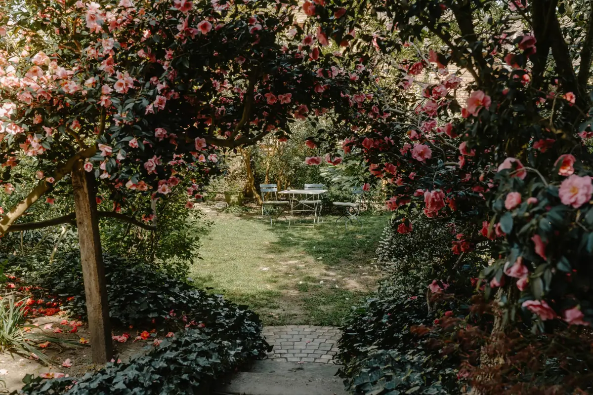 A Grand Regency-Style House with a Mature Garden in London 21 garden pink flowers lawn A Grand Regency-Style House with a Mature Garden in London