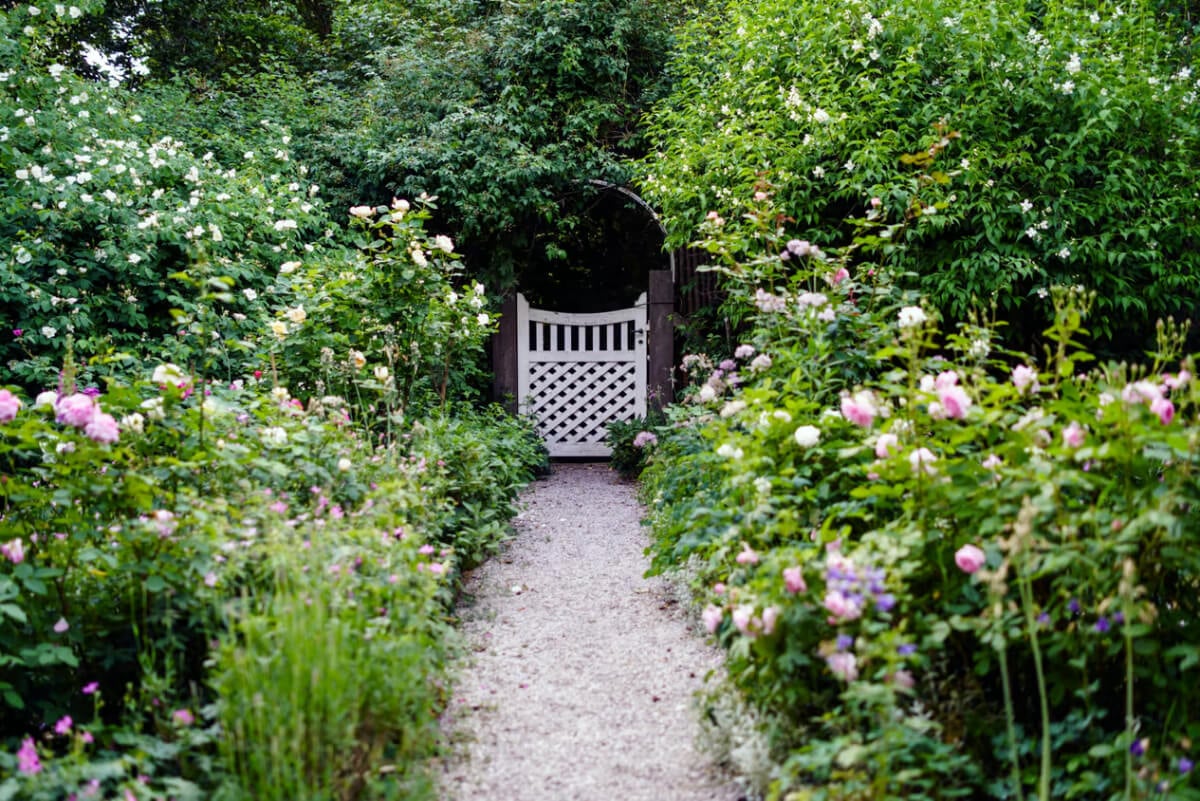 Best of 2025: Balconies and Gardens 55 rose garden