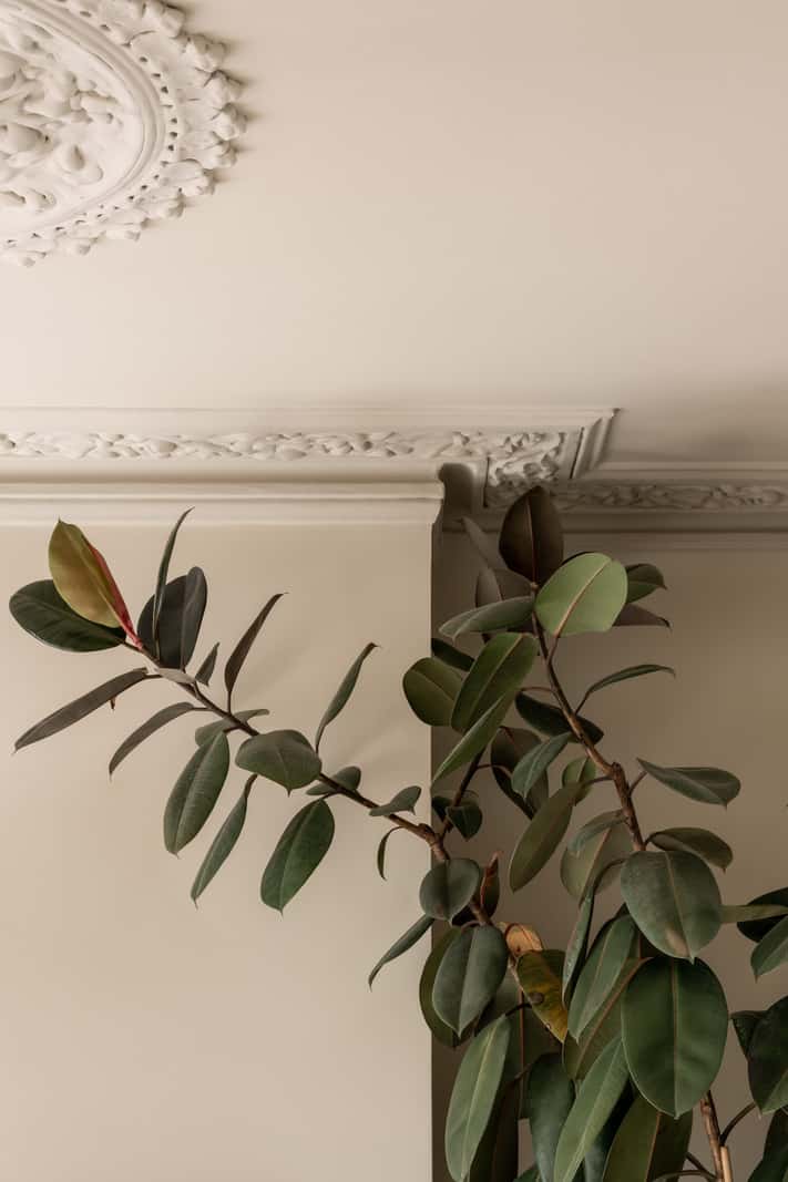 Natural Materials and Period Features in a Restored Victorian House 4 stucco