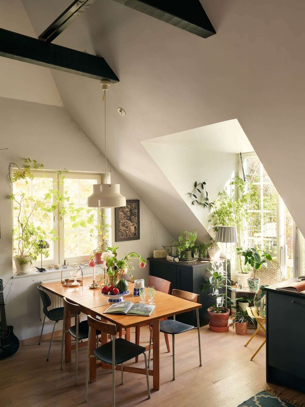 cozy kitchen dining table plants high ceilings