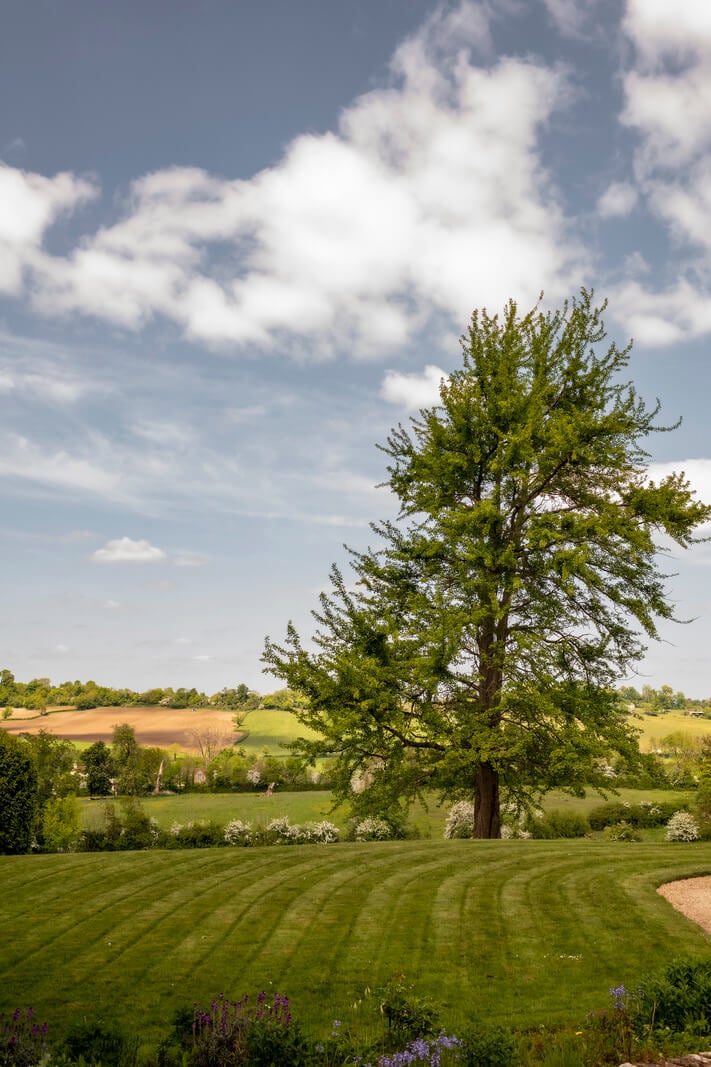 Pearl Lowe and Danny Goffey’s Eclectic Gothic Somerset Home Is For Sale 22 garden