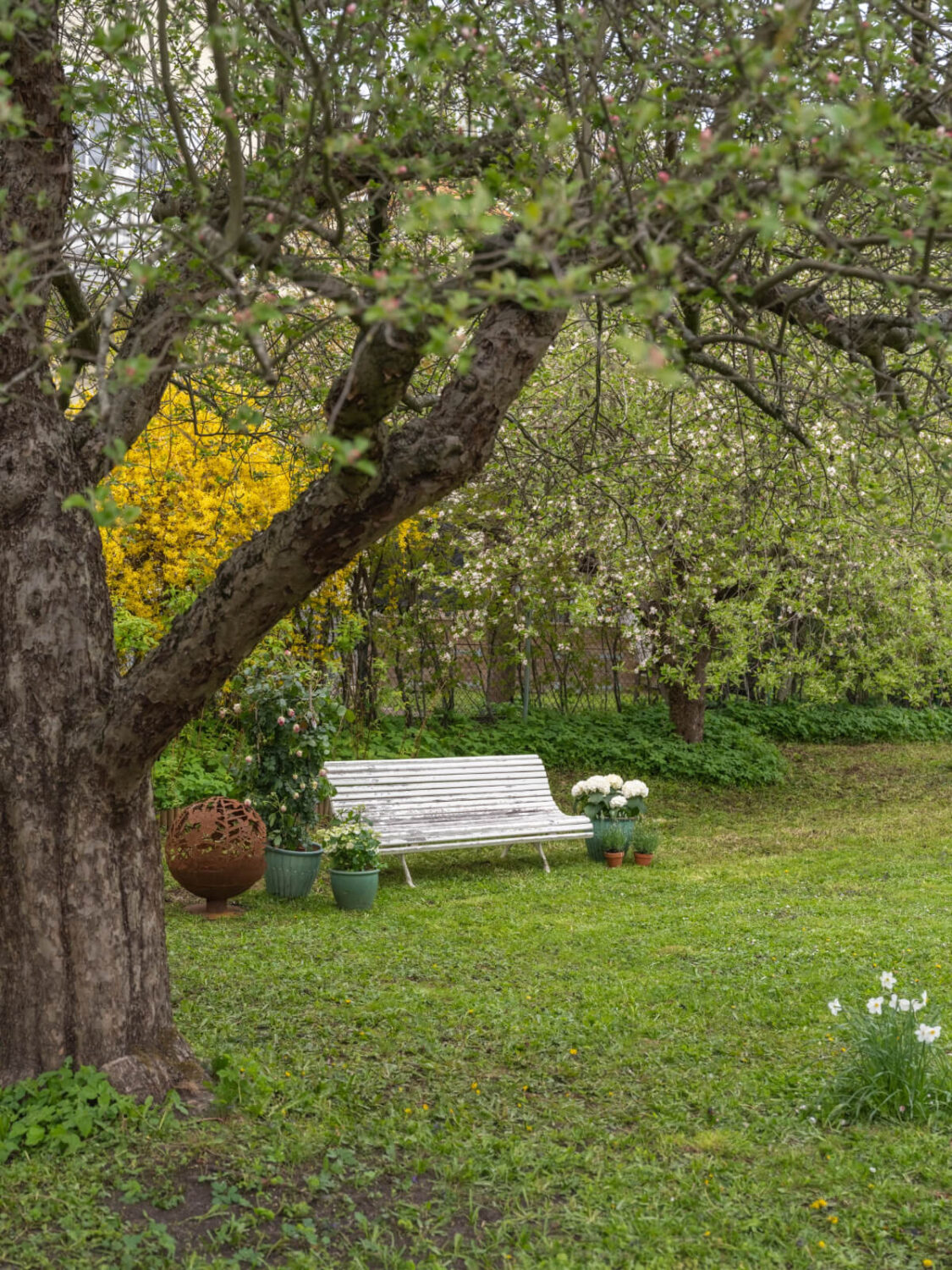 An Early 20th-Century Family Home Decorated with Color and Art 34 garden