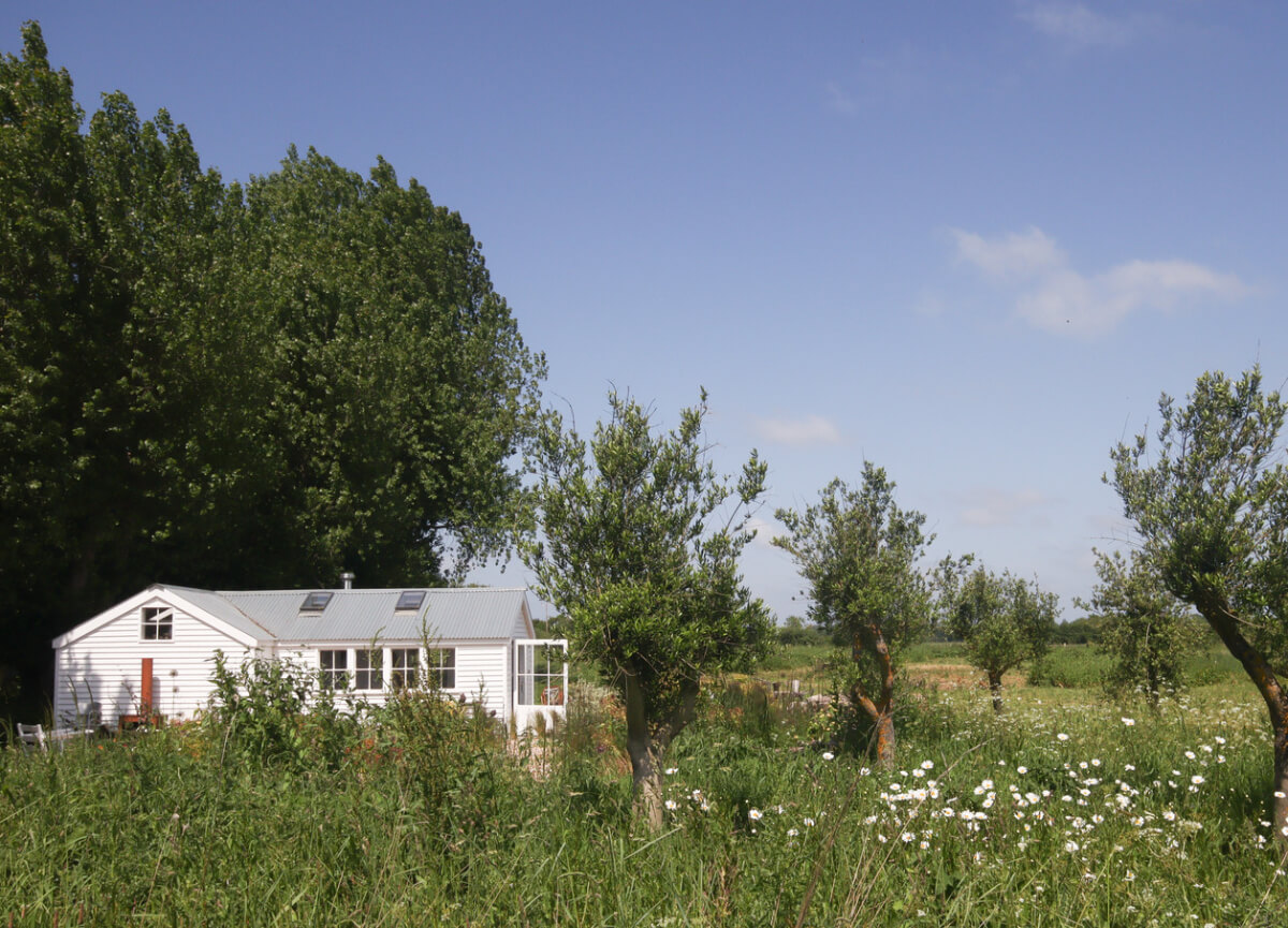 A Bright New England-Style Home with a Lush Garden 27 small white house in garden