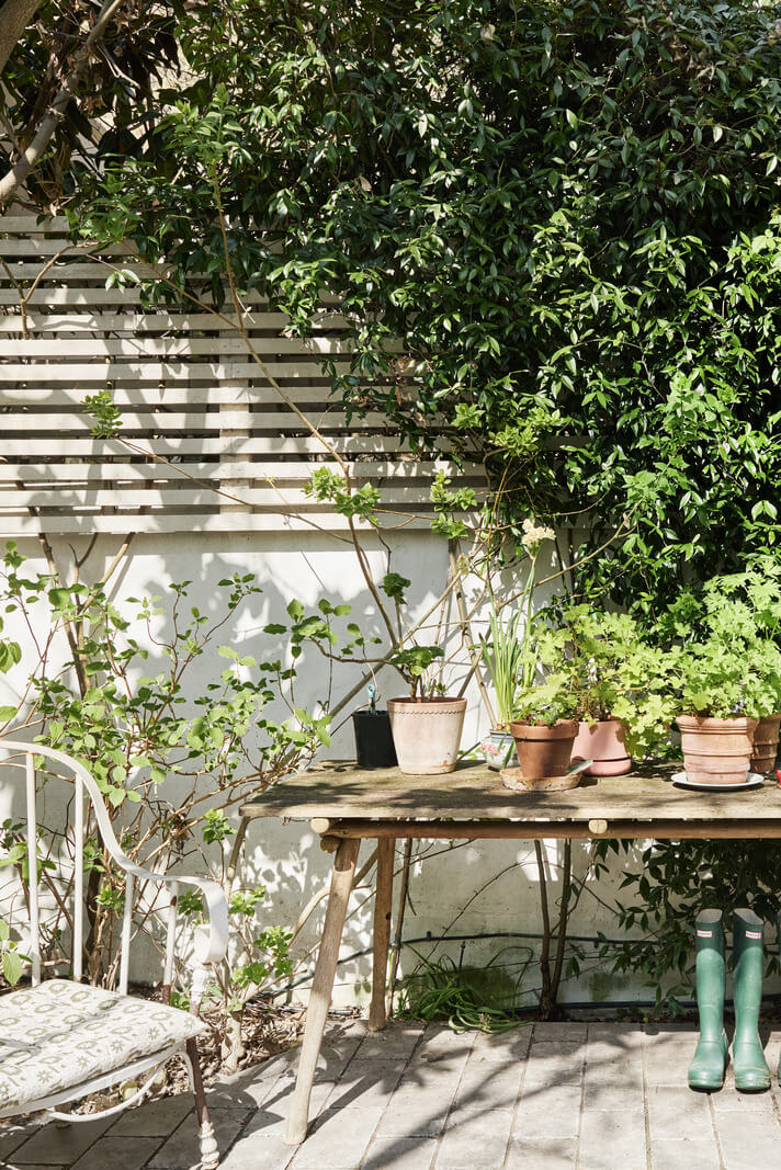 Light-Filled Interiors in a Grand Early Victorian House in Notting Hill 10 garden detail