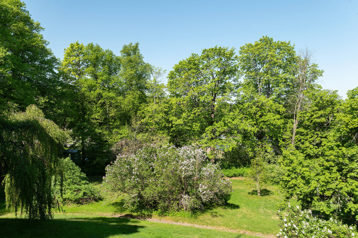 A Grand Historical Swedish Villa with Views of a Royal Castle 13 garden A Grand Historical Swedish Villa with Views of a Royal Castle