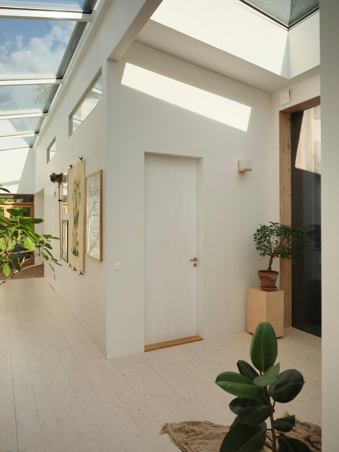 This Extended 19th Century Lakeside House is a Green Oasis in the City 14 hall skylgihts This Extended 19th Century Lakeside House is a Green Oasis in the City
